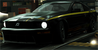 FORD SHELBYВ® TERLINGUA FORD MUSTANG